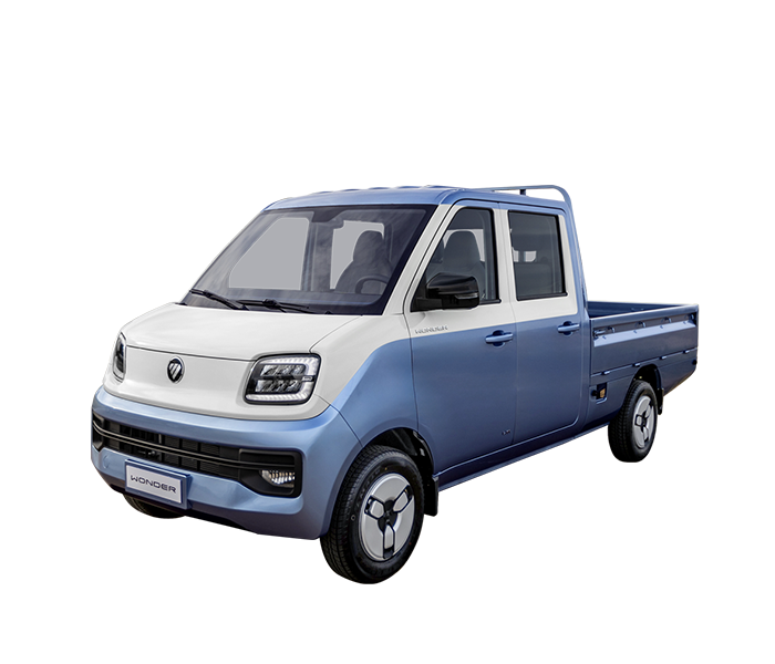 Foton Wonder Cabina Doble
