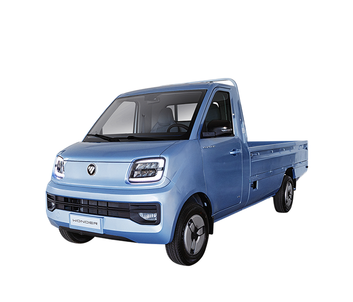 Foton Wonder Cabina Simple