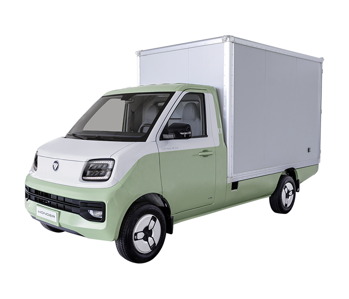 Foton Wonder Cabina Simple Box